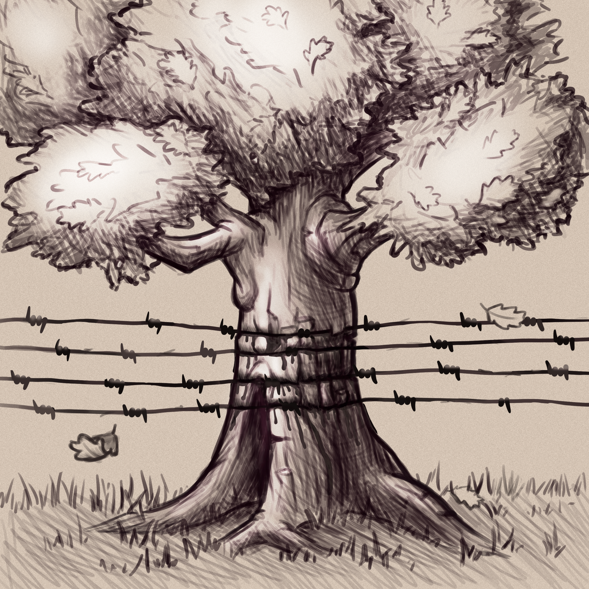 greyscale sketch of an oak tree cut into by barbed wire.