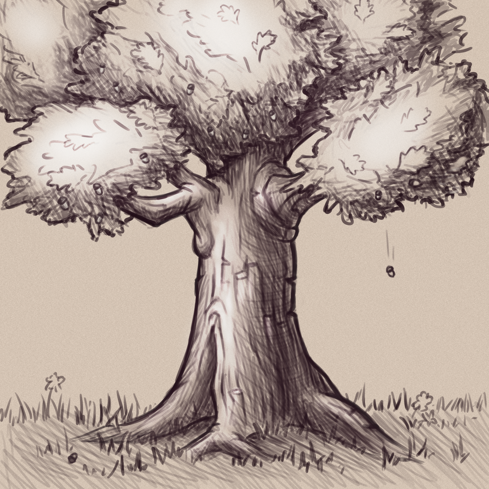 Greyscale sketch of a tree, healthy and free of wires.