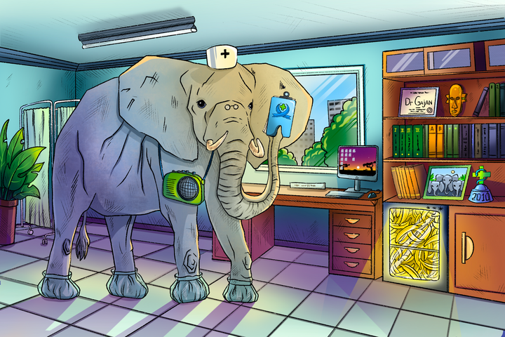 An Elephant in sterile booties and a red cross cap stands in a doctor’s office. It is holding a clipboard in its trunk.